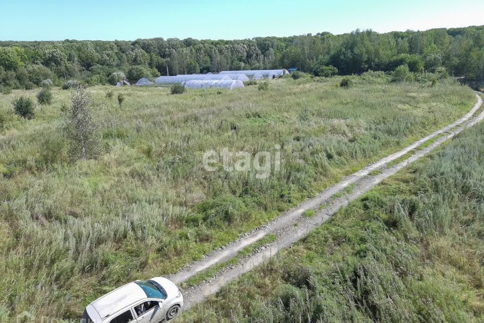 земля р-н Хабаровский фото 4