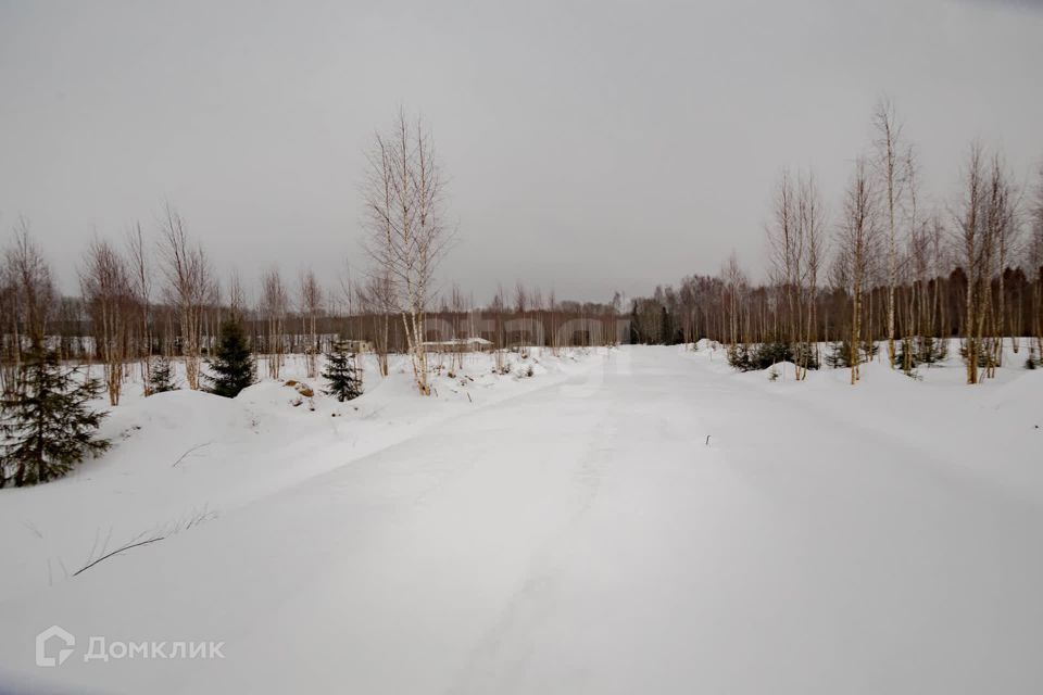 земля р-н Вологодский фото 10