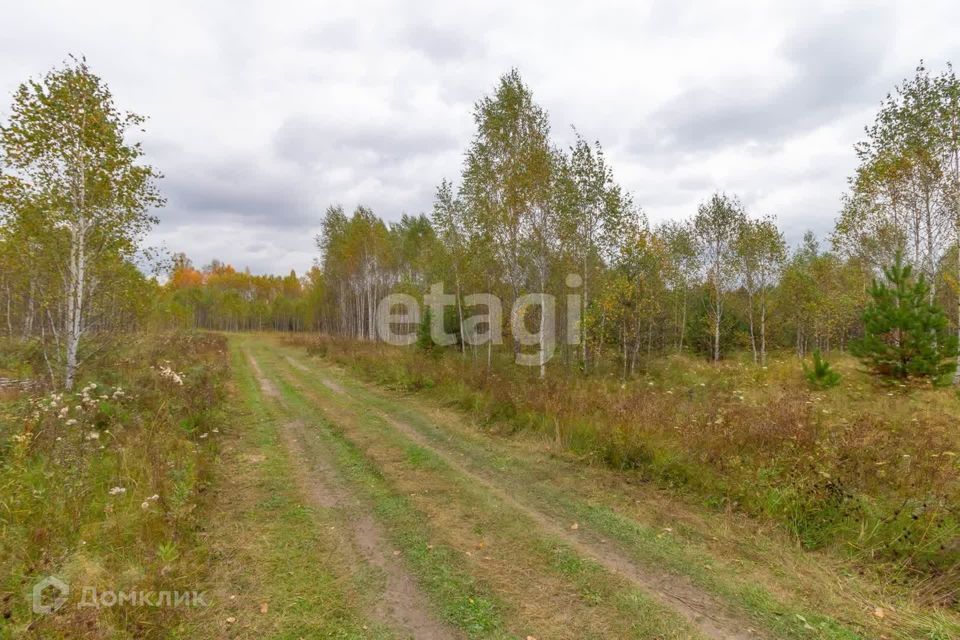 земля р-н Нижнетавдинский д Московка 4-я линия фото 7