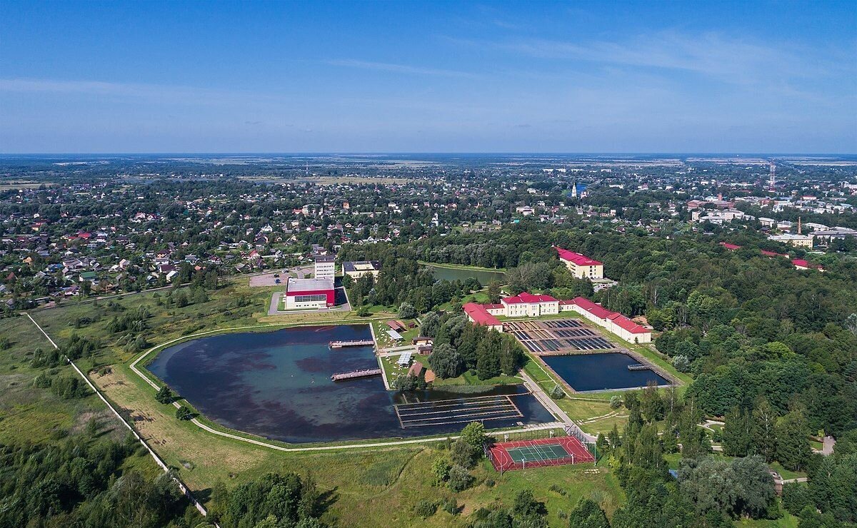 земля р-н Старорусский г Старая Русса городское поселение город Старая Русса фото 1