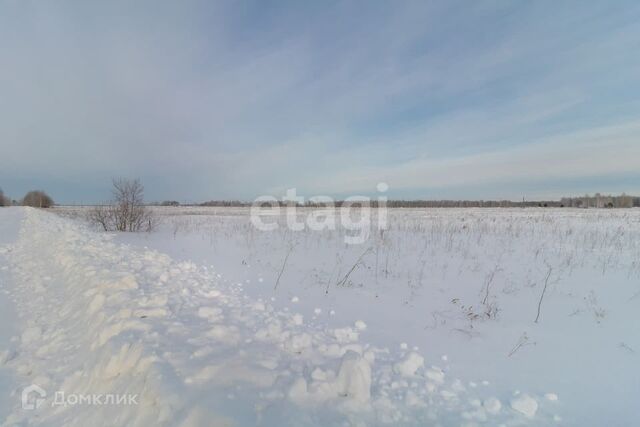 земля д. Малый Хутор фото