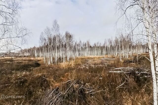 земля с Нижняя Тавда ул Строителей фото