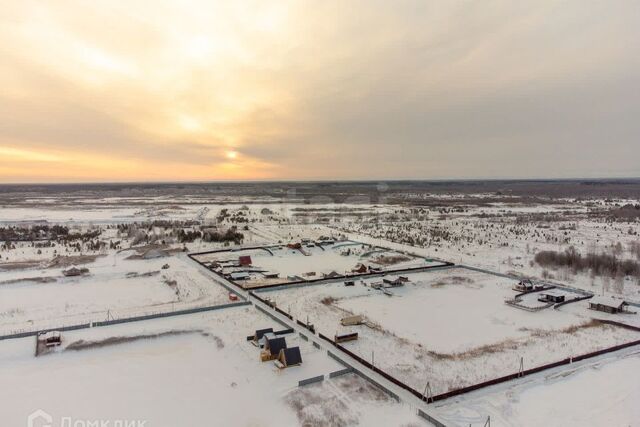 Тюмень городской округ, СНТ Облепиховое фото