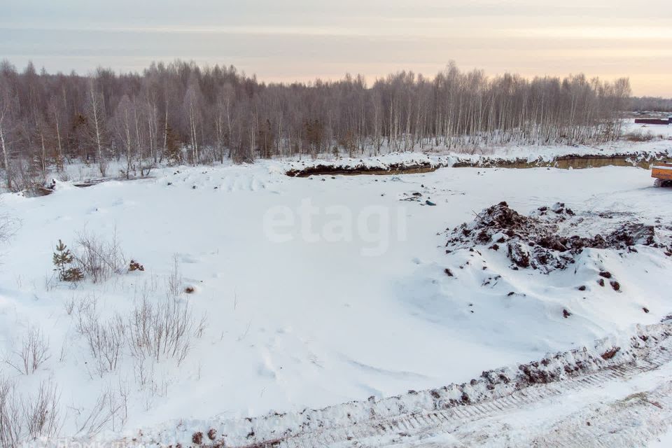 земля г Тюмень Тюмень городской округ, СНТ Облепиховое фото 10