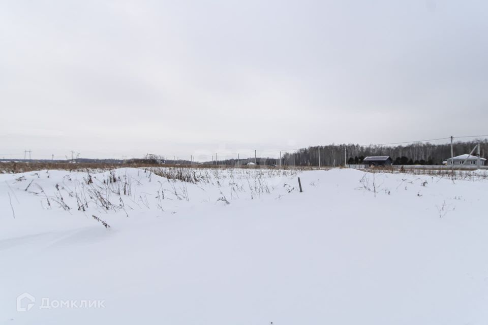 земля р-н Тюменский с Кулига улица Се<текст-удален>ольская фото 9