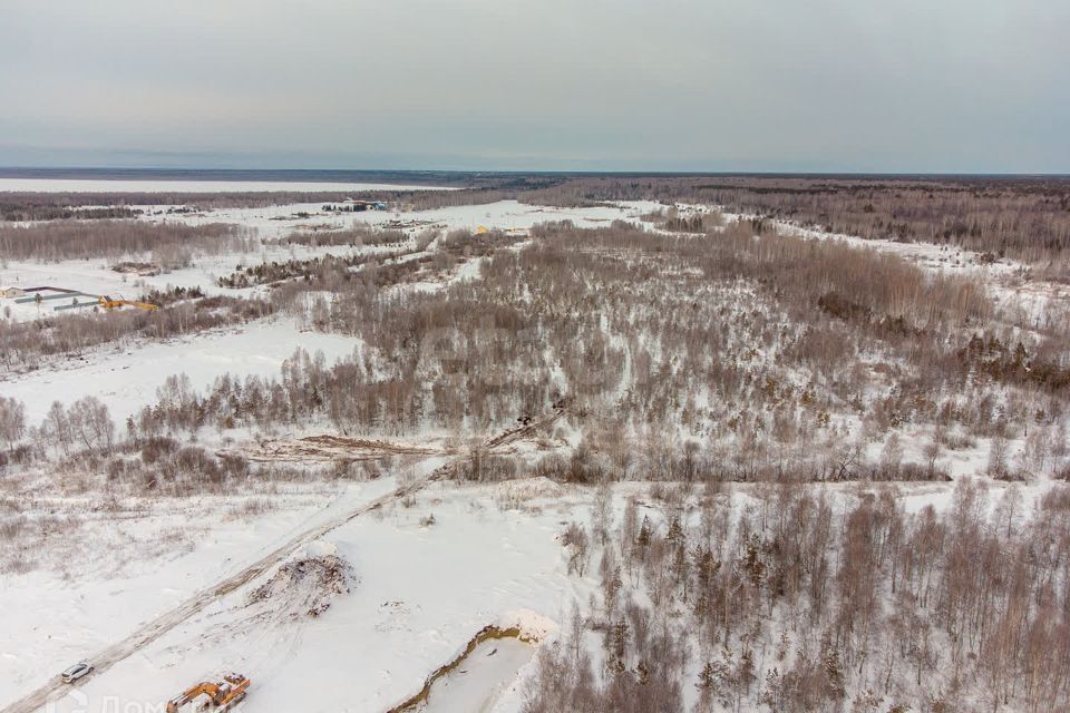 земля г Тюмень Тюмень городской округ, СНТ Облепиховое фото 10