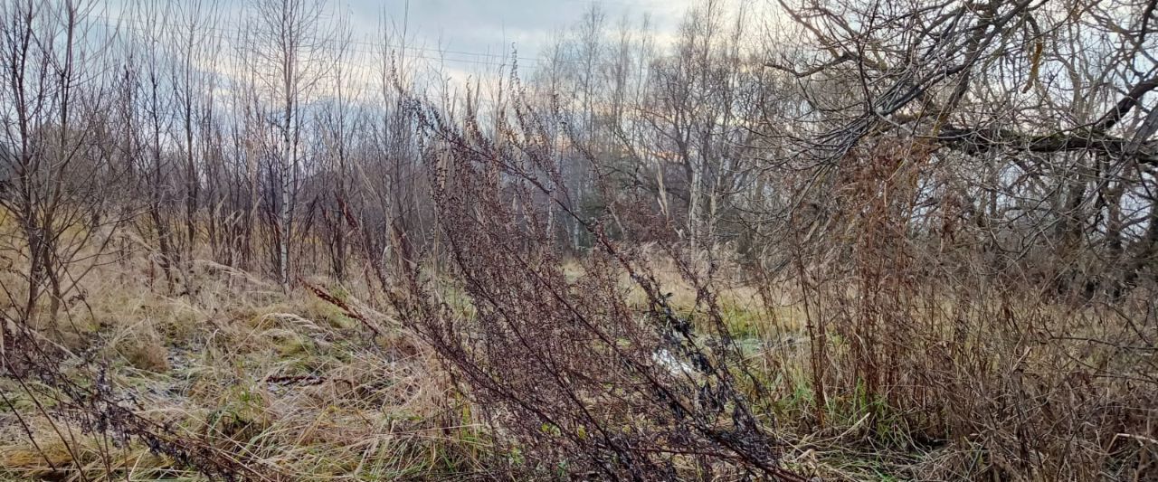 земля городской округ Егорьевск д Ширяевская фото 1