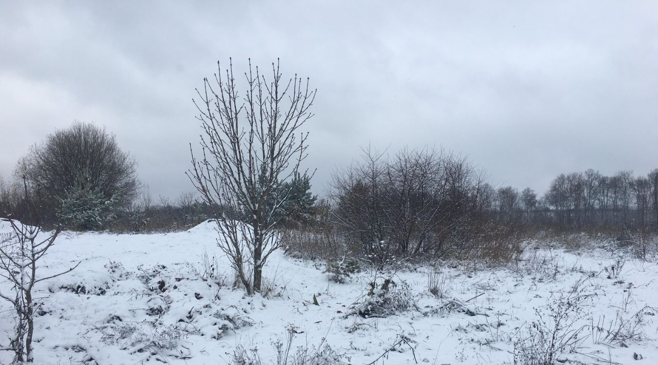 земля городской округ Пушкинский д Цернское фото 3