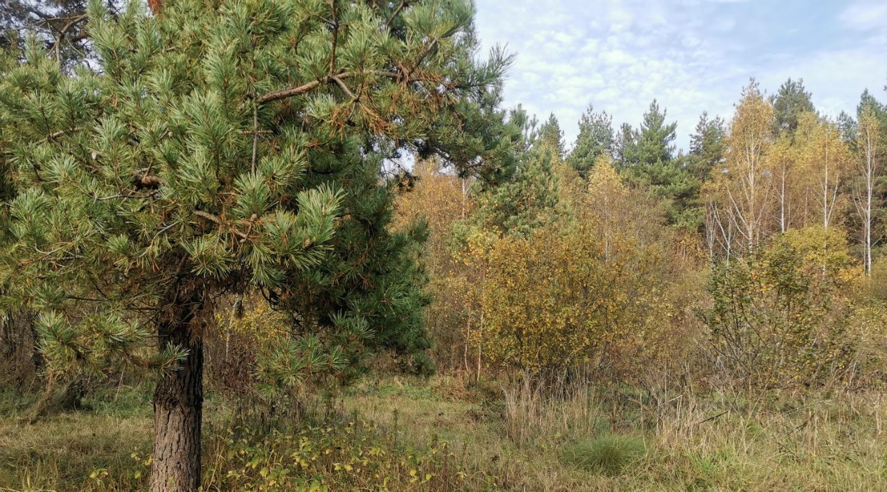 земля городской округ Орехово-Зуевский д Молоково фото 1