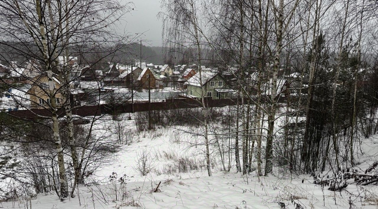 земля городской округ Пушкинский д Лепёшки фото 1