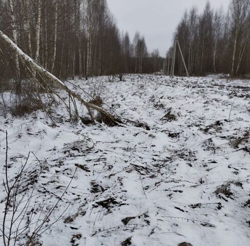 д Кушелово фото