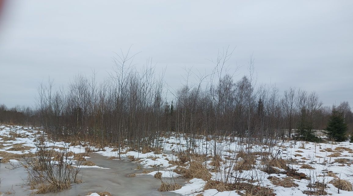 земля городской округ Наро-Фоминский д Волчёнки фото 1