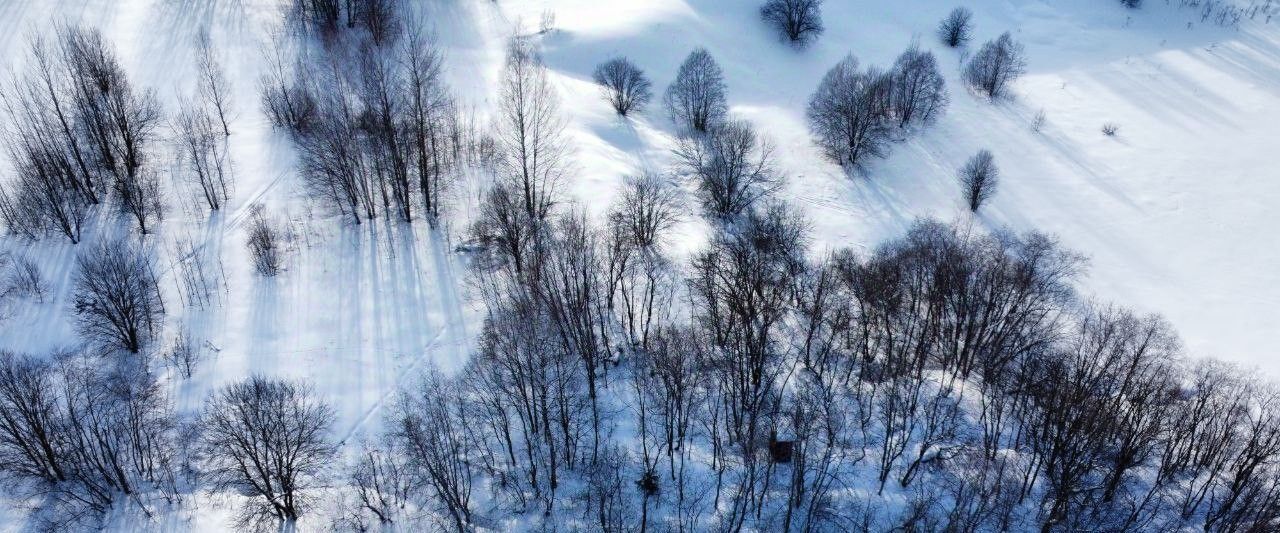 земля городской округ Волоколамский д Золево фото 2