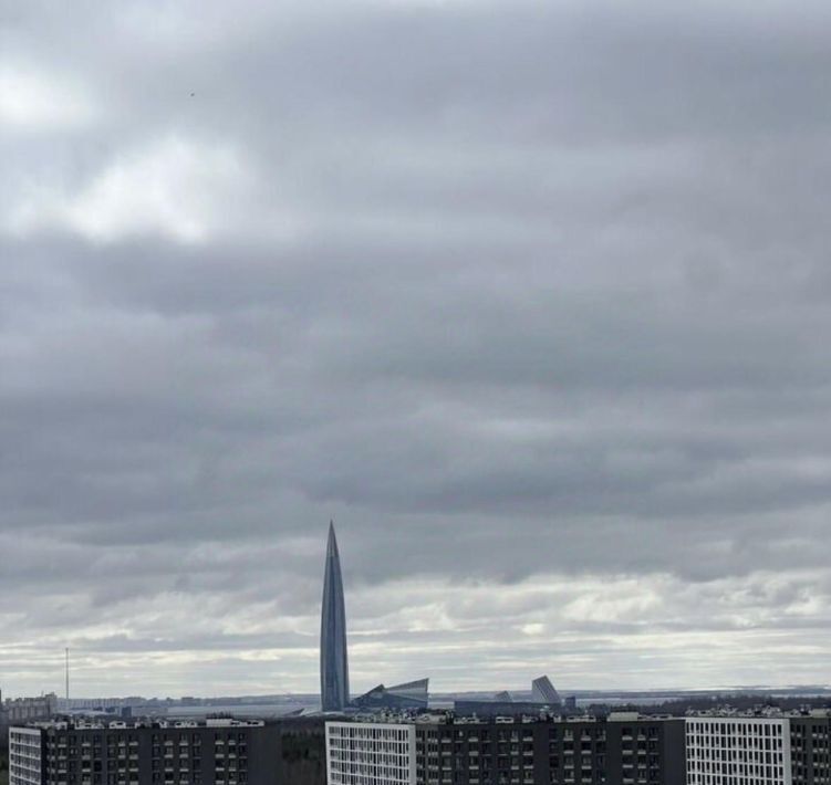 квартира г Санкт-Петербург метро Комендантский Проспект пр-кт Авиаконструкторов 69 фото 2