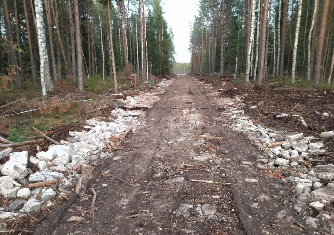 дом р-н Всеволожский г Всеволожск Мурманское шоссе, 13 км, Всеволожское городское поселение, территория СОСН Раздолье, Виноградная ул фото 27