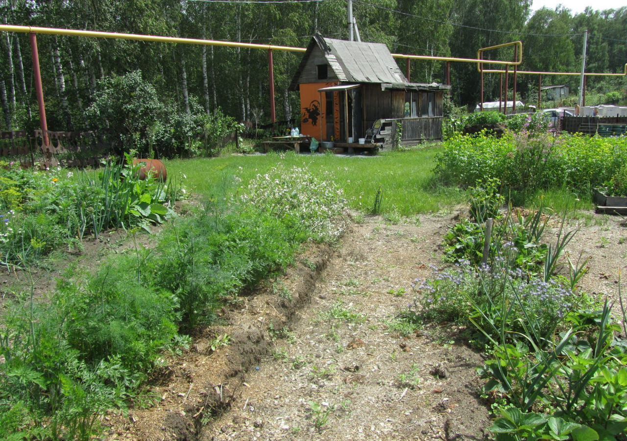 земля р-н Новосибирский снт Елочка Криводановский сельсовет, Новосибирск фото 3