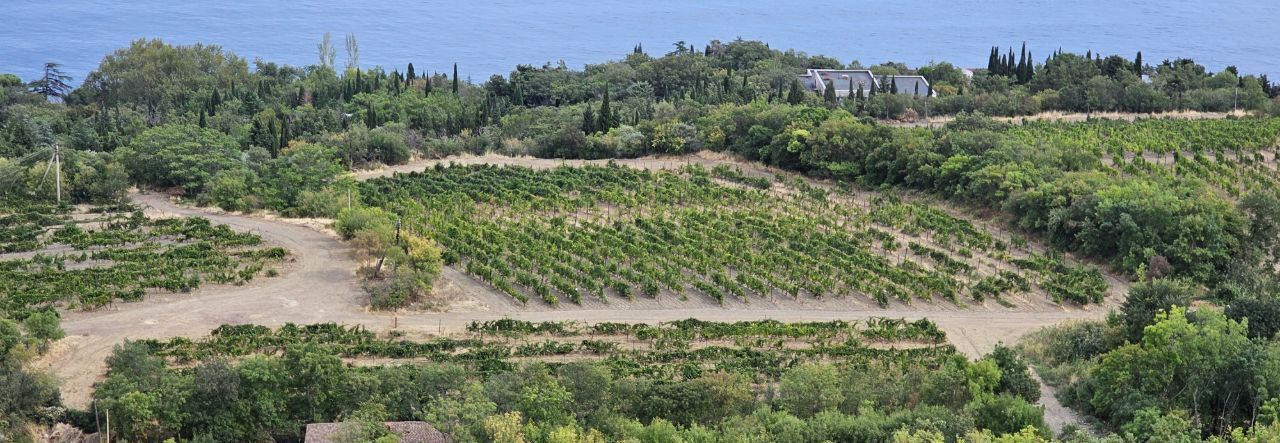 земля г Алушта с Малый Маяк ул Раевского фото 1