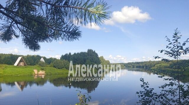 земля д Кургино Алеховщинское с/пос, 3 фото