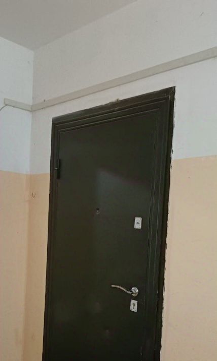 квартира г Новосибирск р-н Октябрьский Золотая Нива ул Татьяны Снежиной 39 фото 4