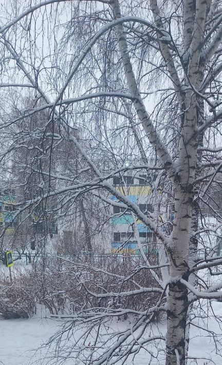 квартира г Набережные Челны р-н Центральный 4-й комплекс б-р Строителей 3 фото 4