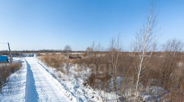 р-н Центральный снт Матрешка ул. Листопадная фото