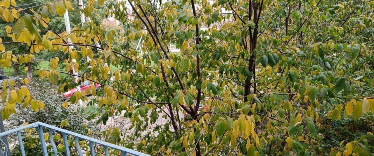 квартира г Нижний Тагил р-н Тагилстроевский ул Победы 16 фото 26