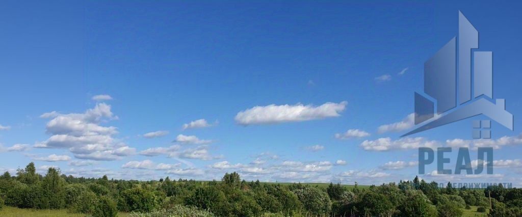 земля р-н Дальнеконстантиновский с Борисово-Покровское фото 2