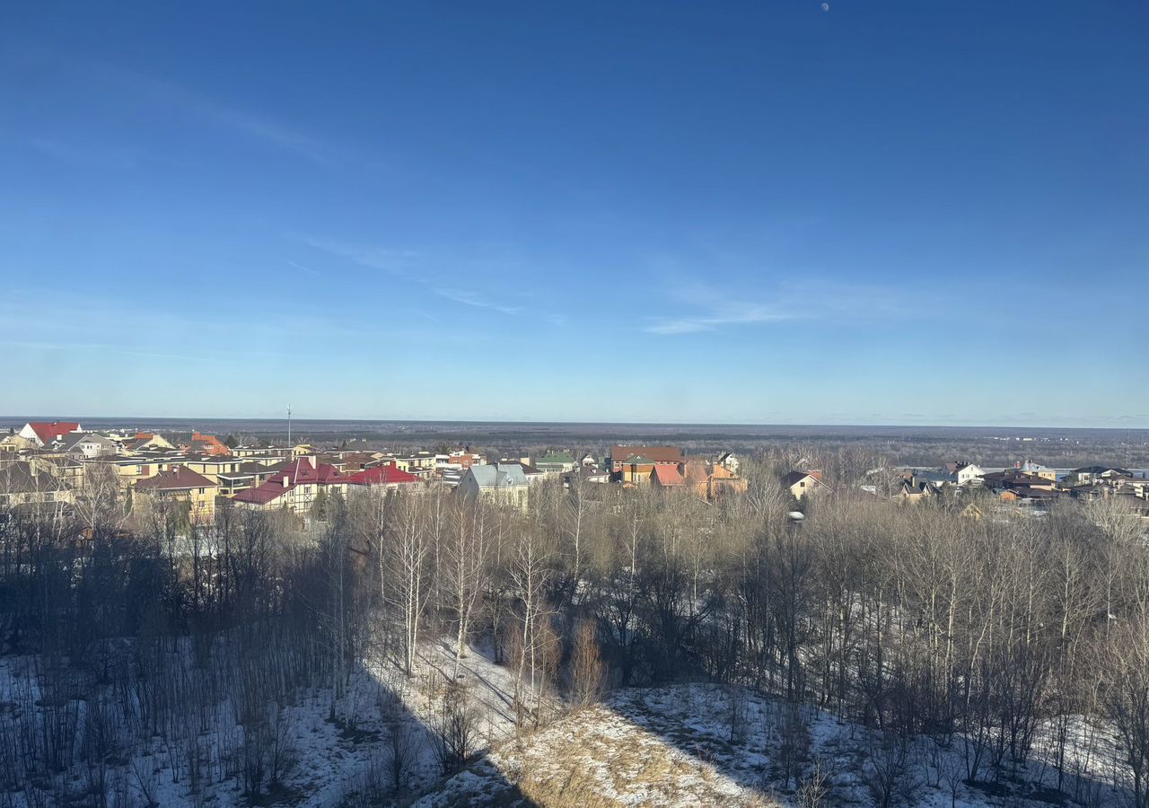 квартира г Нижний Новгород р-н Нижегородский Подновье ул Лысогорская 89к/1 фото 2