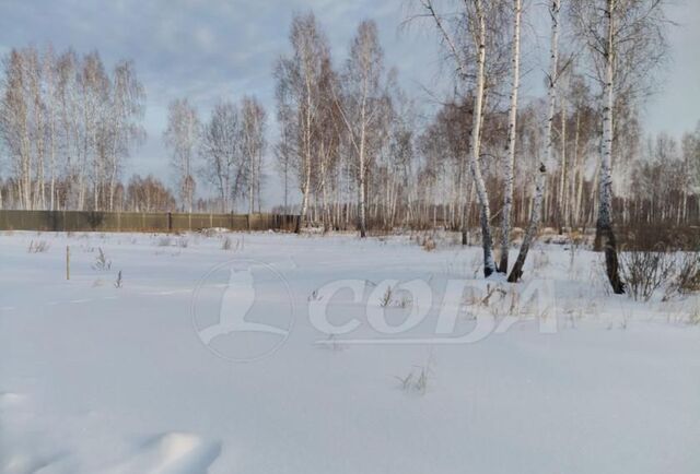 земля д Большие Акияры Червишево фото