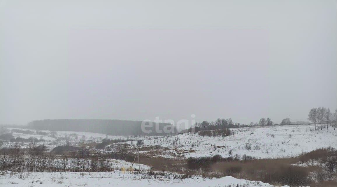 земля р-н Богородский с Ефимьево Северная тер., 12 фото 1