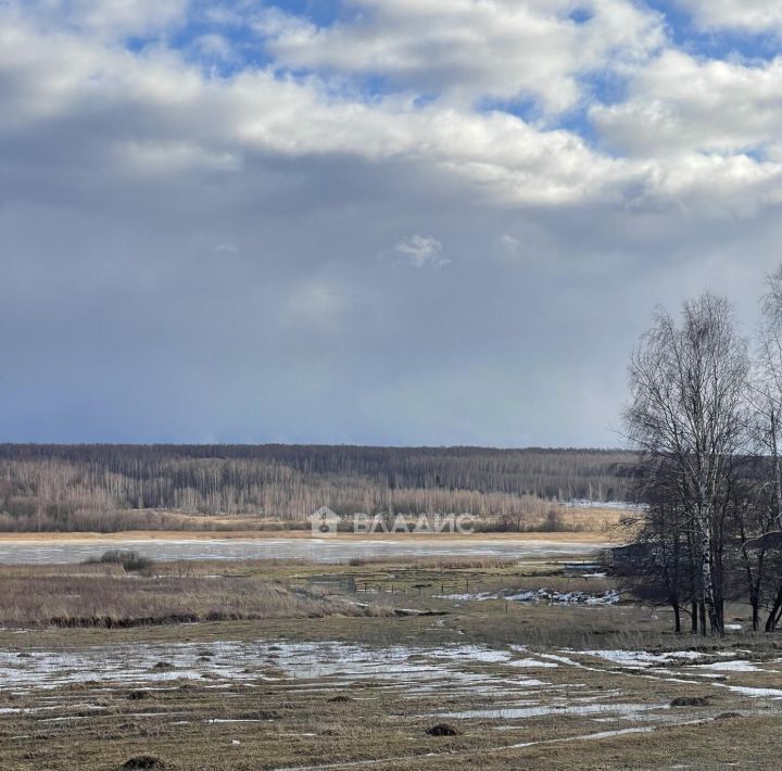 земля р-н Богородский д Инютино фото 2