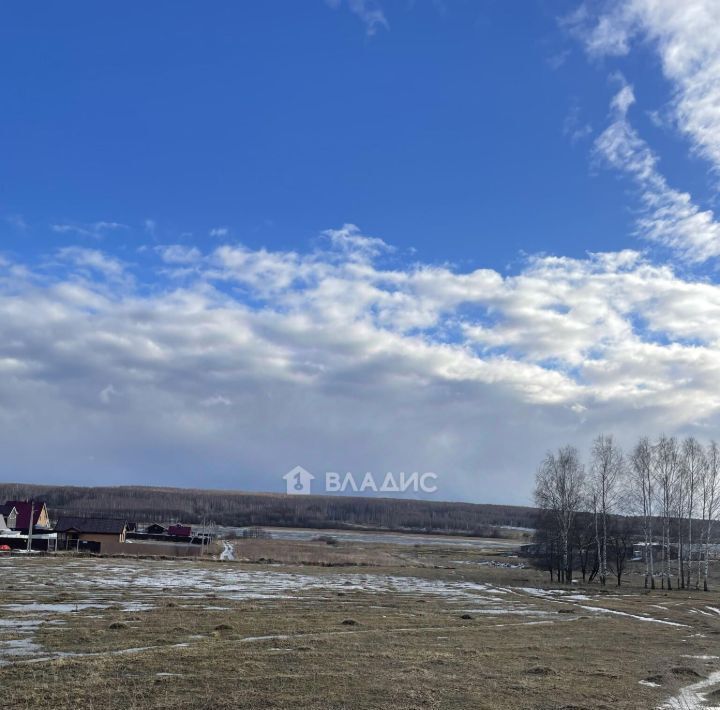 земля р-н Богородский д Инютино фото 3