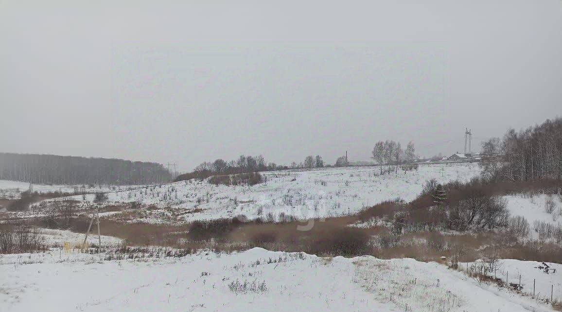 земля р-н Богородский с Ефимьево Северная тер., 12 фото 4