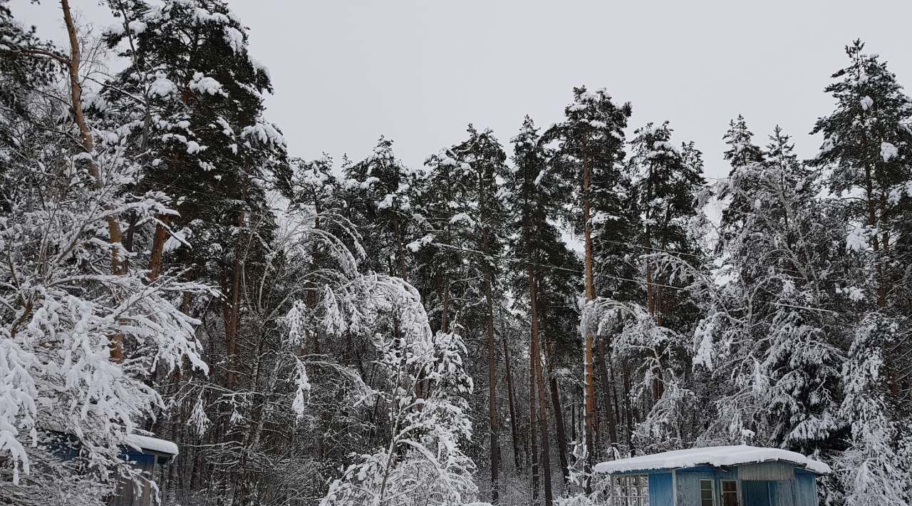 офис р-н Алексинский д Айдарово Алексин городской округ фото 1