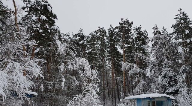 офис д Айдарово Алексин городской округ фото