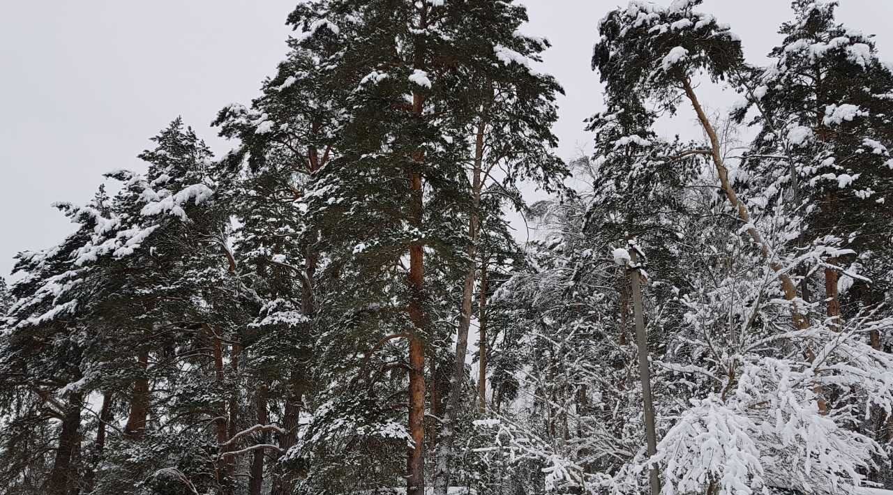 офис р-н Алексинский д Айдарово Алексин городской округ фото 2