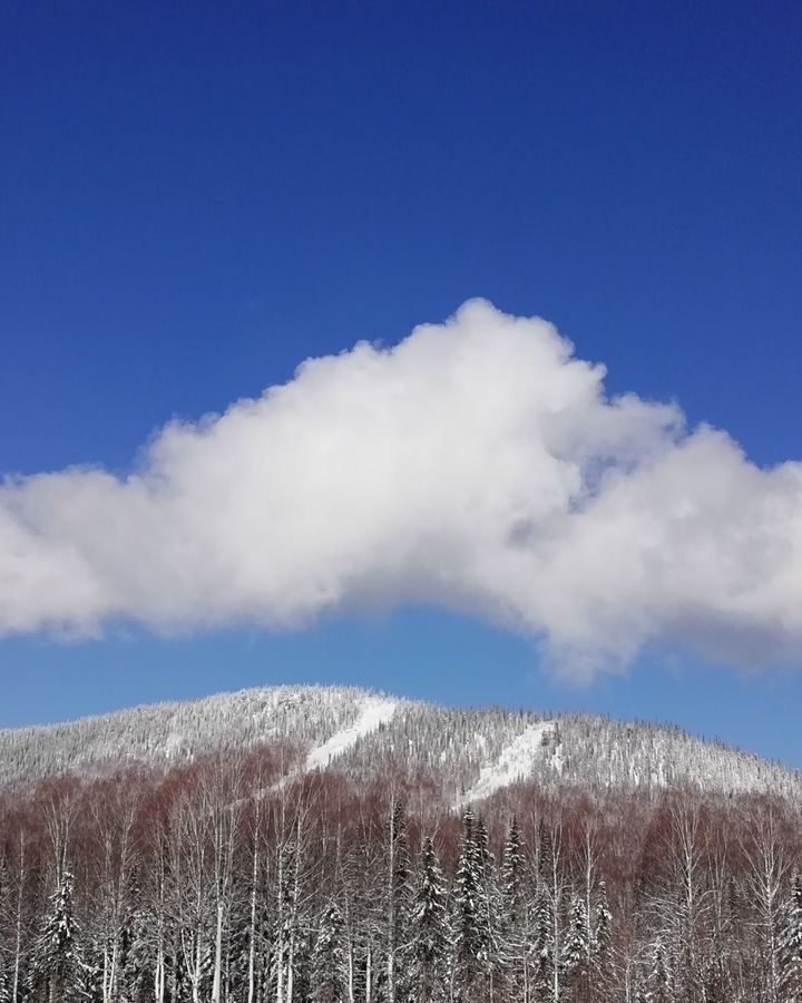 дом р-н Таштагольский пгт Шерегеш ул Дзержинского Шерегешское городское поселение фото 1