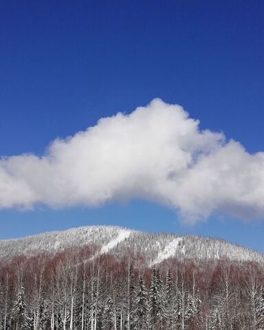 дом ул Дзержинского Шерегешское городское поселение фото