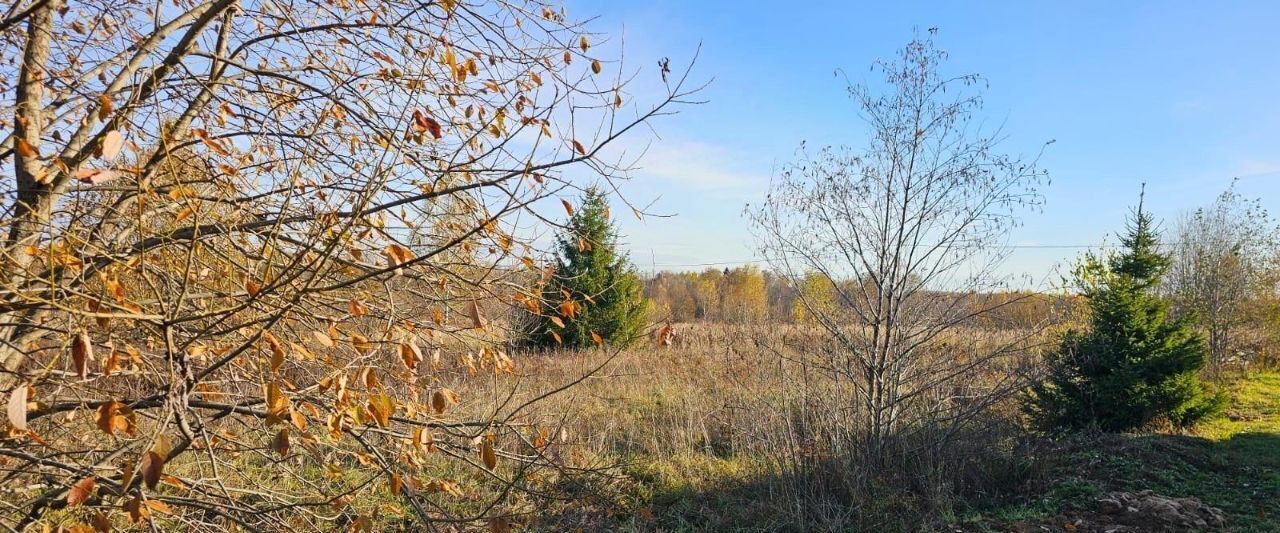 земля р-н Александровский Каринское муниципальное образование, Малое зазеркалье кп, 77 фото 2