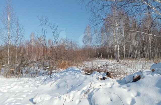 тер СО Горошинка фото