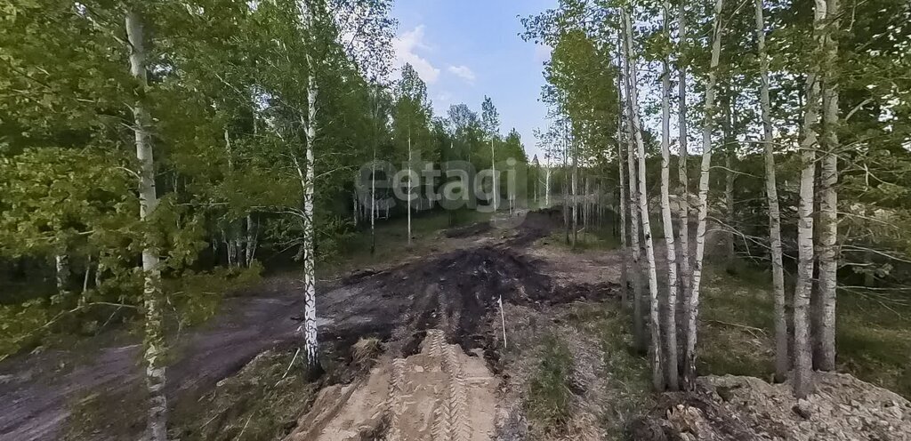 земля р-н Нижнетавдинский снт Сундукуль Центральная улица фото 4