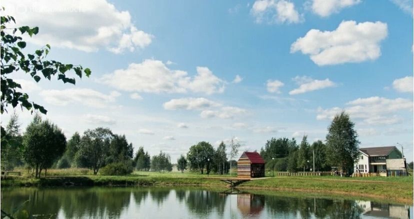 дом городской округ Клин д Степаньково ул Лесная 63 км, Новопетровское, Новорижское шоссе фото 40