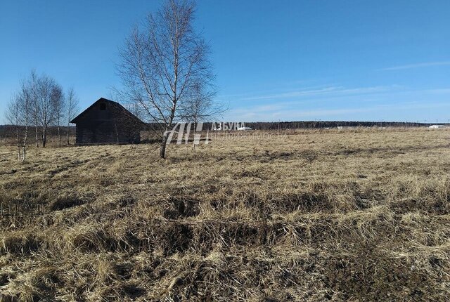 земля ТиНАО Апрелевка, район Вороново фото