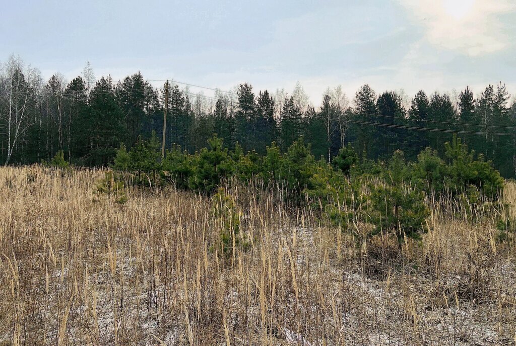 дом городской округ Егорьевск д Батраки фото 16