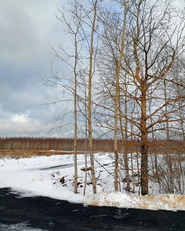 земля городской округ Раменский д Васильево 25 км, Володарского, Новорязанское шоссе фото 3