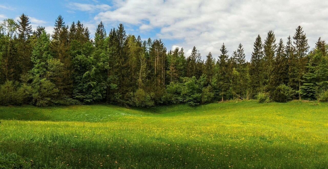 земля городской округ Волоколамский д Горки 78 км, Сычево, Новорижское шоссе фото 3