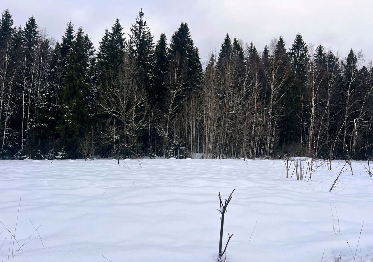 земля городской округ Сергиево-Посадский г Краснозаводск 71 км, территория Шубино-Яркое, Зарничная ул, Ярославское шоссе фото 12