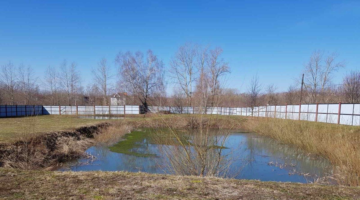 земля р-н Богородский с Дуденево ул Советская 112 фото 12