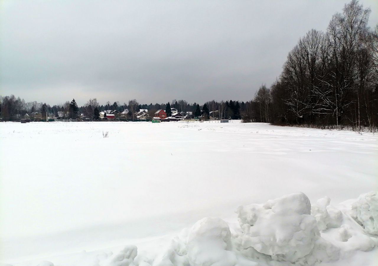 земля городской округ Пушкинский 37 км, Ашукино, Ярославское шоссе, д. Василёво фото 14