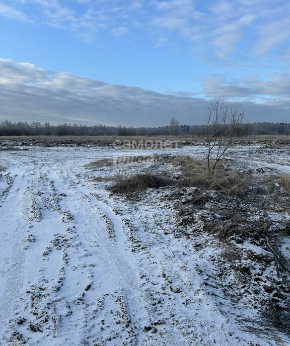 земля городской округ Раменский д Сидорово фото 11